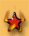 HOTSTAR